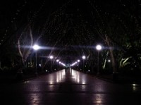 hyde_park_09