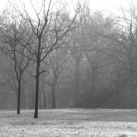 hyde_park_05