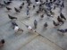 4_trafalgar_square